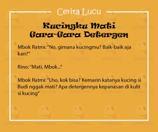 Cerita Lucu Pendek - Kucingku Mati Gara-Gara Detergen - YEDEPE.COM