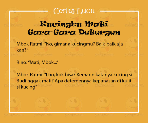  Cerita Lucu Pendek  Kucingku Mati Gara Gara Detergen 