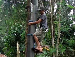 Memanjat Tiang