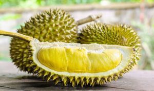 Buah-Durian-Segar